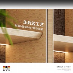 霍尔茨全屋定制展示柜/无封边工艺/弧形工艺GD-S50