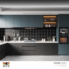 霍尔茨橱柜/吊柜/无封边工艺 GD-W1