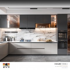 霍尔茨橱柜/吊柜/无封边工艺 GD-W1